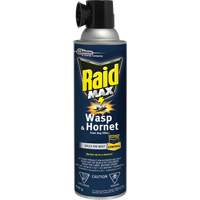 Raid&reg; Max&reg; Wasp & Hornet Foam Bug Killer, 500 g, Aerosol Can, Solvent Base Advanced Consulting and Training Ltd.