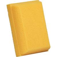 Grouting Sponges, Grouting, 5" W x 7" L Advanced Consulting and Training Ltd.