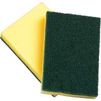Sponges with Scouring Pad, Scrubbing, 4" W x 6" L Advanced Consulting and Training Ltd.