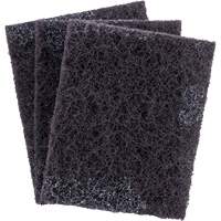 Tampon effaceur facile Scotch-Brite, 2-4/5" lo x 4-1/2" la Advanced Consulting and Training Ltd.