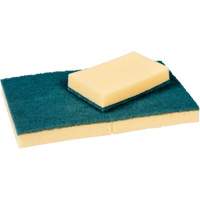 &eacute;ponges en cellulose Scotch-Brite, Cellulose, 6-1/3" la x 3-1/2" l Advanced Consulting and Training Ltd.