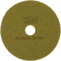 Tampon pour planchers TopLine Speed, 17", Brunissage, Brun Advanced Consulting and Training Ltd.