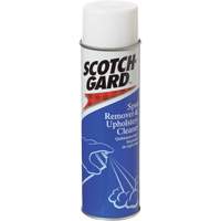 Carpet Spot Remover and Upholstery Cleaner, 17 oz., Aerosol Can Advanced Consulting and Training Ltd.