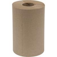 Everest Pro Paper Towel Rolls, 1 Ply, Standard, 300' L Advanced Consulting and Training Ltd.