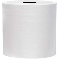Snow Soft TAD Premium Hand Towel Rolls, 2 Ply, Standard, 700' L Advanced Consulting and Training Ltd.