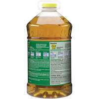Nettoyant pour vitres et surfaces multiples Pine Sol, 4,25 L, Cruche Advanced Consulting and Training Ltd.