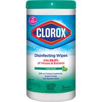 Lingettes d&eacute;sinfectantes, 75 lingettes Advanced Consulting and Training Ltd.
