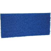 Medium Scrub Pad, 10" L x 4-1/2" W Advanced Consulting and Training Ltd.