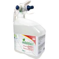Concentrated Descaler, Cleaner & Dust Remover, Jug, 4 L Advanced Consulting and Training Ltd.