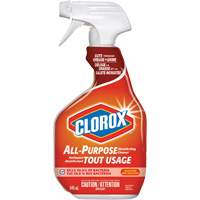 All-Purpose Disinfecting Cleaner Spray, 946 ml, Trigger Bottle Advanced Consulting and Training Ltd.
