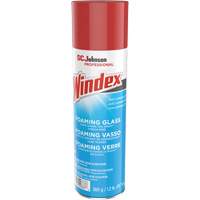 Windex&reg; Foaming Glass Cleaner, 560 g, Aerosol Can Advanced Consulting and Training Ltd.