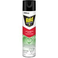 Raid&reg; Essentials Ant & Spider Killer, 350 g, Aerosol Can Advanced Consulting and Training Ltd.