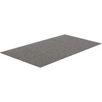 Tundra Indoor/Outdoor Matting, Latex/Polypropylene, Scraper Type, Tufted Cut Pile Pattern, 3-1/2' x 6', Charcoal Advanced Consulting and Training Ltd.