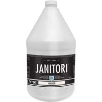 Janitori 01 Window Cleaner, 4 L, Jug Advanced Consulting and Training Ltd.
