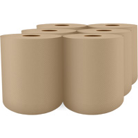 Pro Select&reg; High-Capacity Paper Towel, 1 Ply, Standard, 1000' L Advanced Consulting and Training Ltd.