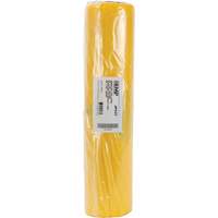 Hazardous Waste Liners, Asbestos, 40" L x 26" W, 3 mils Advanced Consulting and Training Ltd.
