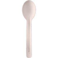 Bagasse Compostable Spoons Advanced Consulting and Training Ltd.