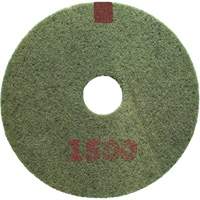 Tampon pour planchers, grain 1500, 20", &agrave; r&eacute;curer/D&eacute;capant, Rouge Advanced Consulting and Training Ltd.