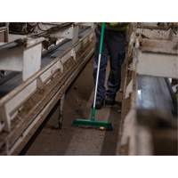 T&ecirc;te de balai-brosse, Crins Fin/Ferme, 16-1/2", Polyester/Polypropyl&egrave;ne, Vert Advanced Consulting and Training Ltd.