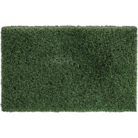 Disposable Thinline Scrubbing Pad, Scrubbing/Stripping, Green Advanced Consulting and Training Ltd.