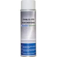 Stainless Steel Cleaner, 396 g, Aerosol Can Advanced Consulting and Training Ltd.