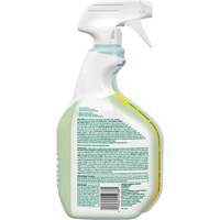 CloroxPro Clorox EcoClean Disinfecting Cleaner, 946 ml, Trigger Bottle Advanced Consulting and Training Ltd.