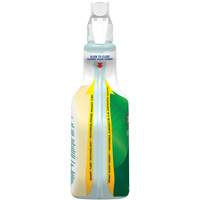 CloroxPro Clorox EcoClean All-Purpose Cleaner, 946 ml, Trigger Bottle Advanced Consulting and Training Ltd.