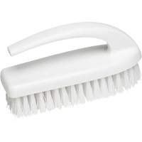 Iron-Style Brush, 6" L, Polypropylene Bristles, Blue Advanced Consulting and Training Ltd.