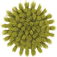 HyDrive Round Drill Brush, Extra Stiff Bristles, 3-1/10" Long, Yellow Advanced Consulting and Training Ltd.