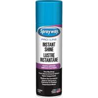 Pro Line Instant Shine for Plastic Surfaces, 11 oz., Aerosol Can Advanced Consulting and Training Ltd.
