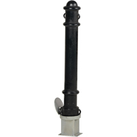 Bornes d&eacute;coratives amovibles, Acier, 40" h x 4-1/2" la, Noir Advanced Consulting and Training Ltd.