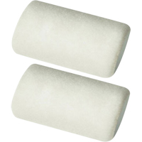 Professional Roller Sleeves, 6 mm (1/4") Nap, 101.6 mm (4") L Advanced Consulting and Training Ltd.