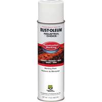 Peinture de marquage &agrave; base d'eau, 17 oz, Canette a&eacute;rosol Advanced Consulting and Training Ltd.