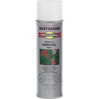 Inverted Marking Paint Spray, 426 g, Aerosol Can Advanced Consulting and Training Ltd.