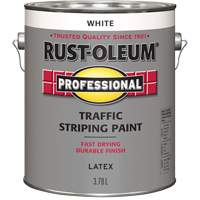 Peinture pour traçage de lignes de circulation, Blanc, 3,78 L, Cruche Advanced Consulting and Training Ltd.