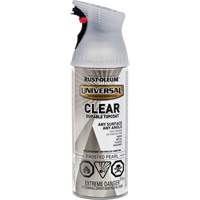 Couche de finition durable Universal, 312 g, Canette a&eacute;rosol, Perle givr&eacute;e Advanced Consulting and Training Ltd.