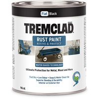 Peinture antirouille &agrave; base d'eau Tremclad, 946 ml, Canette, Noir Advanced Consulting and Training Ltd.