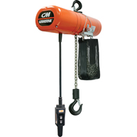 Lodestar Electric Chain Hoists, 10' Lift, 250 lbs. (0.125 tons) Capacity, 32 FPM Advanced Consulting and Training Ltd.