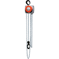 Hurricane 360° Chain Hoist, 15' Lift, 1000 lbs. (0.5 tons) Capacity, Steel Chain Advanced Consulting and Training Ltd.