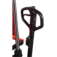 EBSL22N Battery Skid Lift, Steel, 2200 lbs. Capacity Advanced Consulting and Training Ltd.