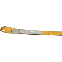 &eacute;lingues de levage en nylon, Pli Double, Oeillets renvers&eacute;s, Type 4, 4" la x 3' lo, Limite de charge verticale 11000 lb Advanced Consulting and Training Ltd.