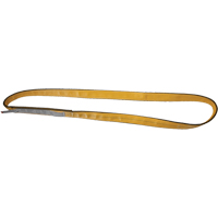 &eacute;lingues de levage en nylon, Pli Double, Sans fin, Type 5, 3" la x 3' lo, Limite de charge verticale 17600 lb Advanced Consulting and Training Ltd.