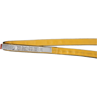 &eacute;lingues de levage en nylon, Pli Double, Sans fin, Type 5, 3" la x 3' lo, Limite de charge verticale 17600 lb Advanced Consulting and Training Ltd.