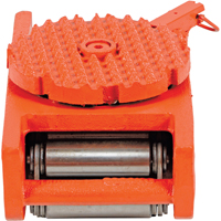 Machine Roller, 11 tons Capacity Advanced Consulting and Training Ltd.