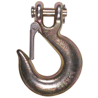 Clevis Slip Hook with Latch - Grade 70 Advanced Consulting and Training Ltd.