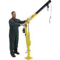 Grue &agrave; fl&egrave;che pour camion actionn&eacute;e par treuil, Capacit&eacute; de 500 lb (0,25 tonne), Limite de 102' Advanced Consulting and Training Ltd.