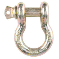 Screw Pin Anchor Shackle, 3/8", Screw Pin, Yellow Chromate Plated Advanced Consulting and Training Ltd.