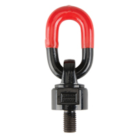 Anneaux de treuil de levage pivotant, 1/4", Longueur du filetage 13 mm, Acier alli&eacute; Advanced Consulting and Training Ltd.