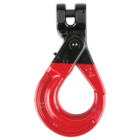 Self Locking Hook Advanced Consulting and Training Ltd.