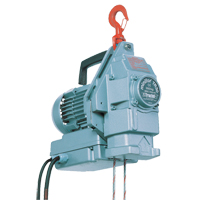 Minifor&reg; Portable Electric Wire Rope Hoist TR30 Advanced Consulting and Training Ltd.